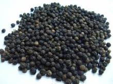 Black Pepper Corn