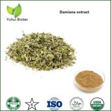damiana extract,damiana leaf extract powder,damiana extract powder,damiana leaf extract,sexual enhan