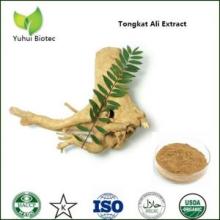 tongkat ali powder,tongkat ali extract,eurycoma longifolia,tongkat ali root extract 200 1