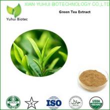  green   tea  extract, green   tea  extract powder, bio   green   tea  extract, green   tea  extract egcg