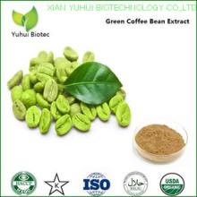green  coffee   extract   powder ,chlorogenic acid, coffee  bean  extract ,green  coffee   extract 