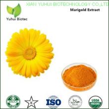 marigold flower extract,marigold flower extract lutein,marigold flower extract powder
