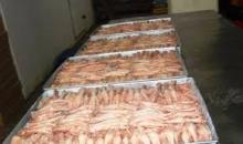 Processed  Frozen  Chicken Paws