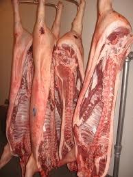 Frozen Pork Ear /Frozen Pork Feet / Frozen Pork carcas