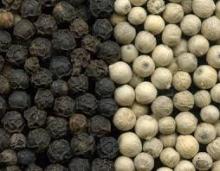 high quality low price black pepper seeds for sale