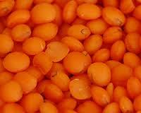 green lentils HPS quality dry green import red lentils