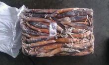 100-150G illex squid illex argentinus for bait