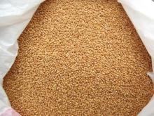  Yellow   Millet  For Sale