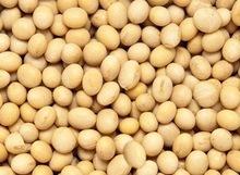 NON GMO Kidney Beans,Soybeans and Soyabeans Milk In Stock