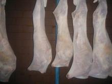 Freshly Chilled Lamb Carcasses Whole @ -15 Degrees Centigrade 7 to 12 kg
