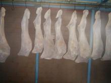 Halal Lamb Carcasses chilled @ -15 degrees centigrade sizes 7 to 20 kg available