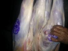 Halal Lamb Carcasses Whole / Fresh Lamb / Freshly Chilled Lamb