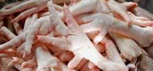  Export   Chicken  Meat |  Chicken  Meat Suppliers |