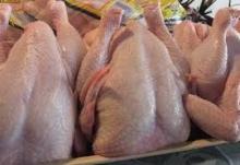 Export Chicken Paw | Chicken Feet Suppliers |