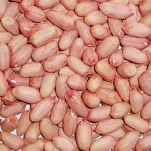 Grade 1 Cheap Peanuts,Cheap Peanuts,Premium quality peanuts