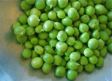 high quality delicious healthy Green peas