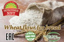 Quality wheat flour best price high grade 50 kg Russia origin