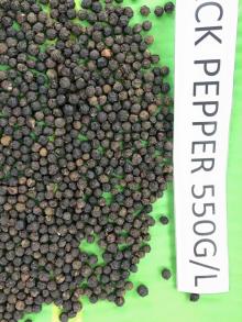 Black Pepper Spices