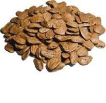 Akuamma Seeds Picralima Nitida