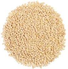 White Millet