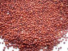 Red Millet