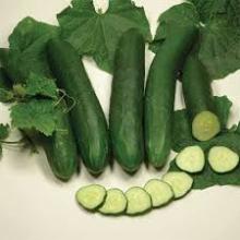  Hybrid  Cucumber Seeds
