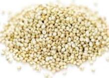 Quinoa Seeds