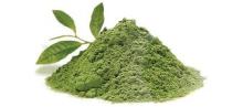  Matcha   Green   Tea  /  Matcha   Green  Powder