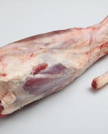 Shank