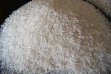 Calrose Rice for sale