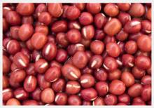 RED SORGHUM GRAINS FOR SALE