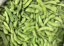 2016 new spring crop vegetable Chinese Frozen Green Soybean, IQF Edamame