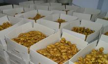 Agricultural Products (Un-processed and Processed)