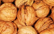 walnut in shell, walnut kernel