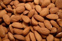 HIGH GRADE Fresh Raw Sweet Almond hot sales