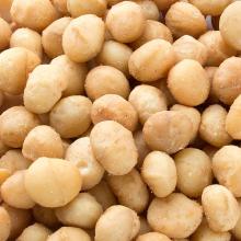  Raw   Macadamia  Nuts - Best Prices