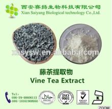 50% 98% dihydromyricetin vine tea extract