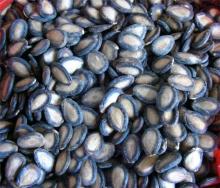  Red  & black watermelon  seed s