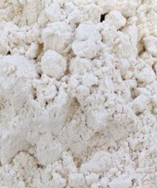 Vital Wheat Gluten Meal