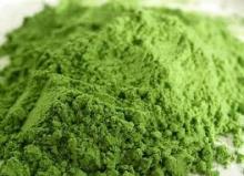barley grass powder