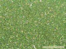 sell clover powder