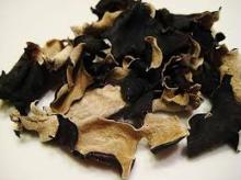 Black fungus for sale