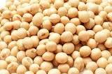 Non gmo  yellow  soybean for export