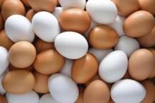  Fresh   Table   Chicken   Eggs  ( Brown and White)