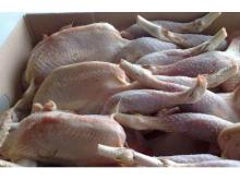 Halal quality chicken / whole chicken / Frozen whole chicken