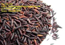 Purple Herbal Rice Black rice From Vietnam Health Benefits  Ms Ha 84974258938