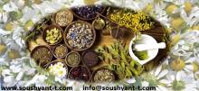 herbal medicine