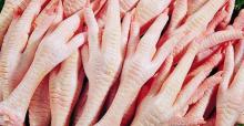 Best Grade Halal Certified Frozen Chicken Paws from Brazil
