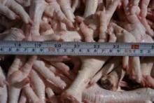 Best quality Frozen Chicken Paws- Grade A - Brazil Origin - China Approved