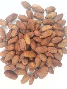 Dates